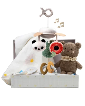 Luksuzni set za novorođenče Taf Toys