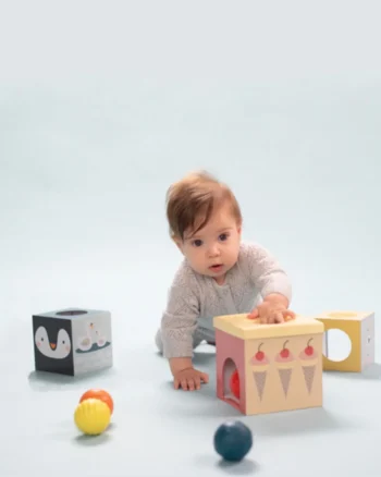 North Pole kocke sa lopticama Taf Toys