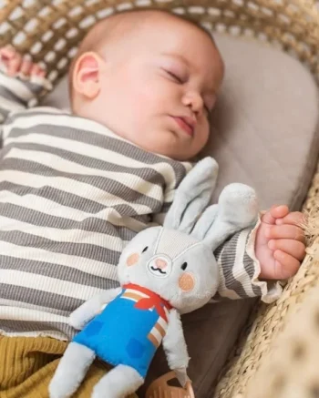 Rylee zeka Taf Toys