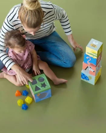 Kocke sa sorterom Taf Toys Savannah