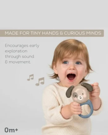 Duo za otkrivanje zvukova Taf Toys