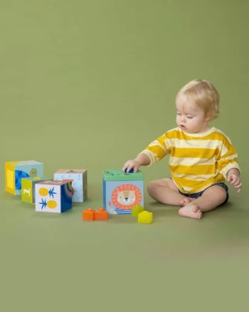 Kocke sa sorterom Taf Toys Savannah